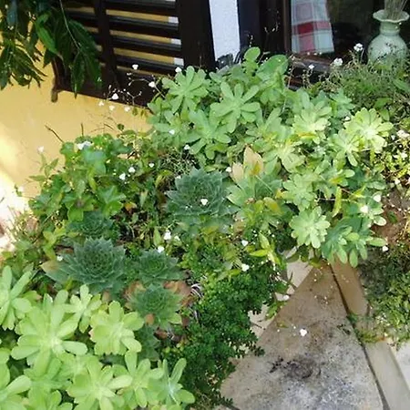 With A Parking Space Nska, Krk - 20090